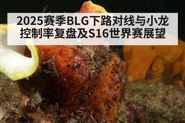 2025赛季BLG下路对线与小龙控制率复盘及S16世界赛展望